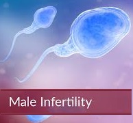 IVF procedure cost in delhi