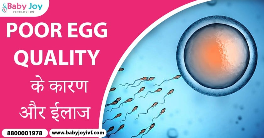 poor egg quality
poor egg quality treatment