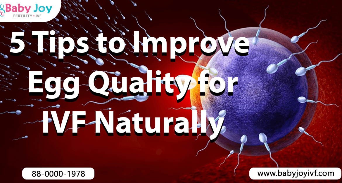 how to improve egg quality