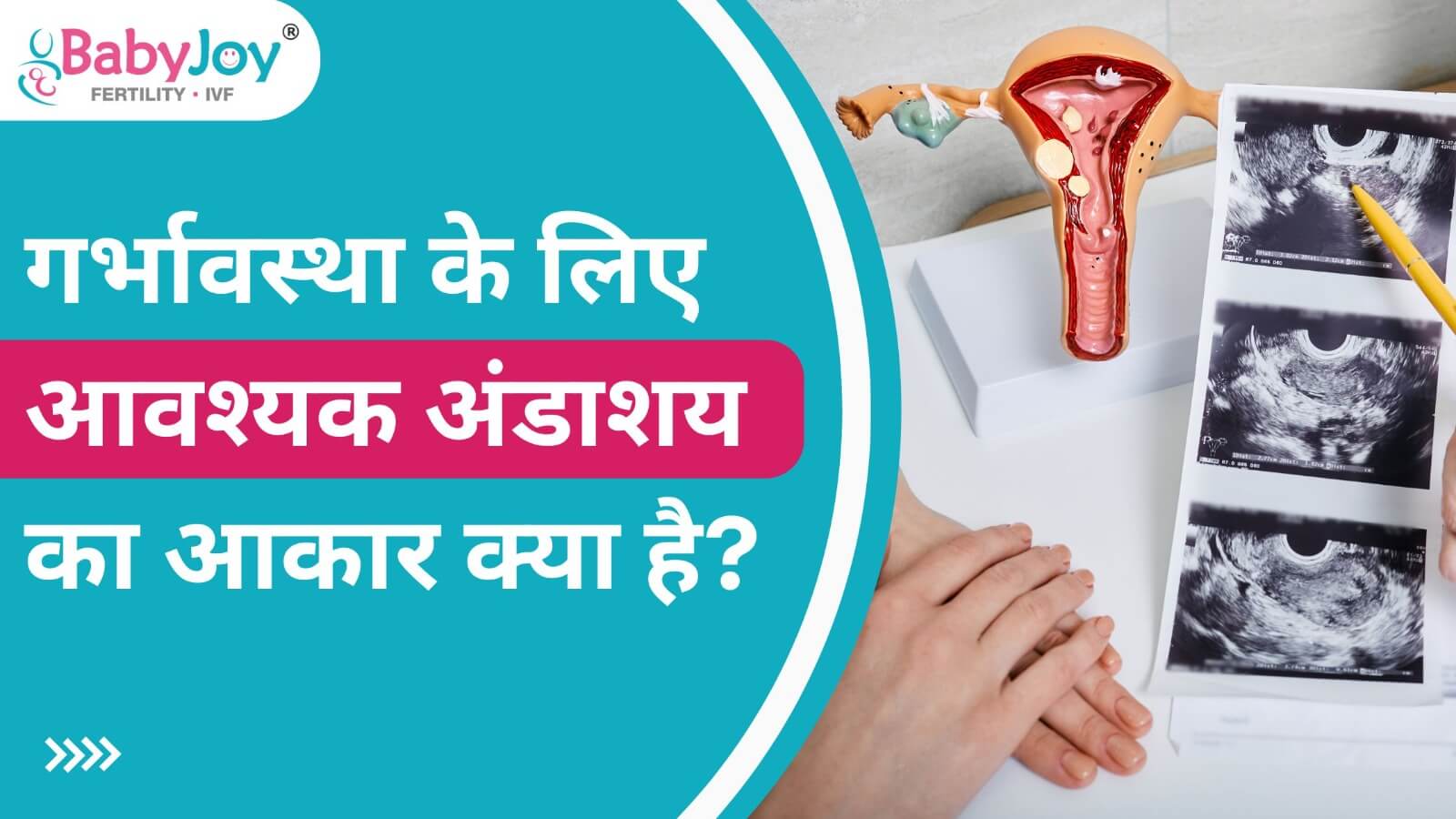 Is Ovary Size Important To Get Pregnant?