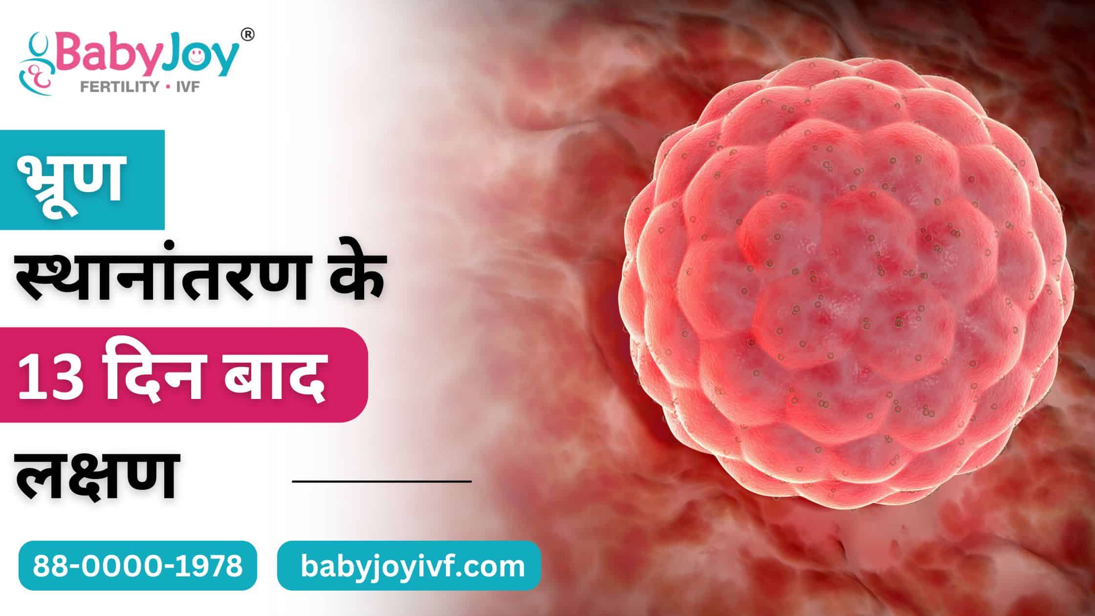 भ्रूण स्थानांतरण