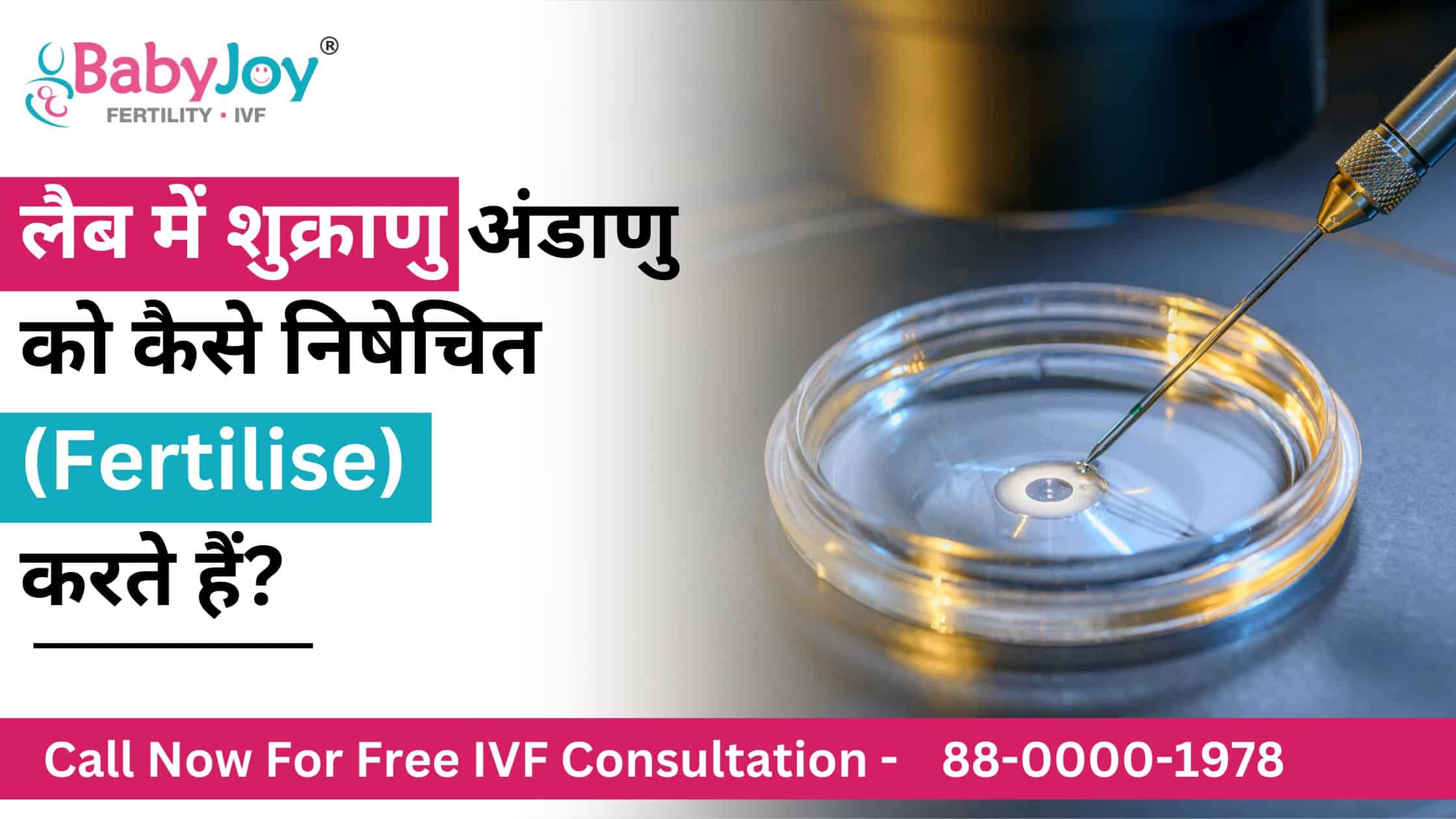 IVF Lab में Fertilisation कैसे होता है? | Best IVF Center in Gurgaon
