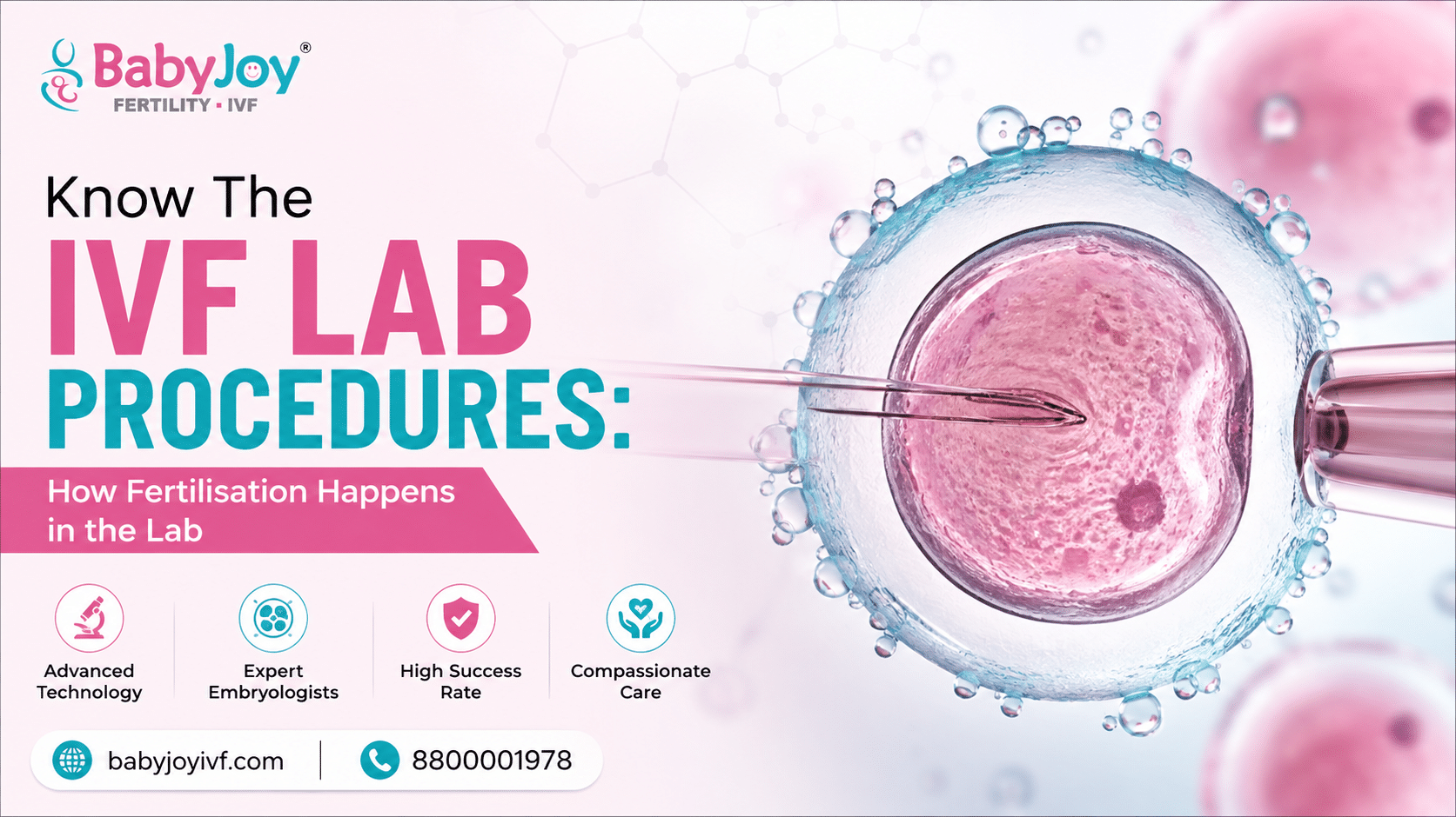 Know The IVF Lab Procedures How Fertilisation Happens in the Lab